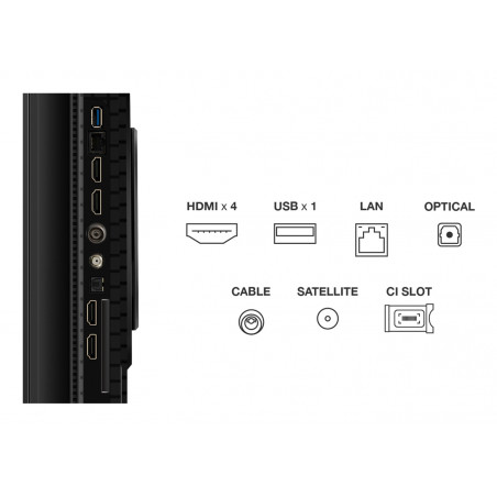Télévision TCL 65P8K