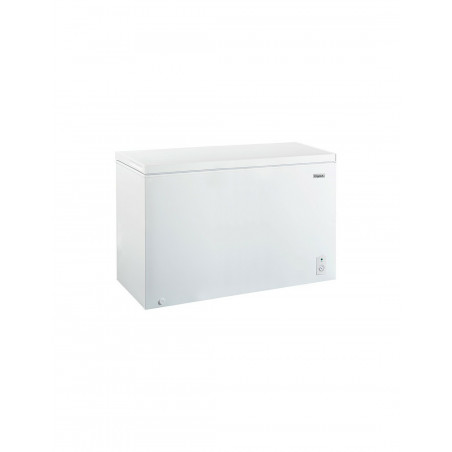 Congélateur FRIGELUX CCO400BE
