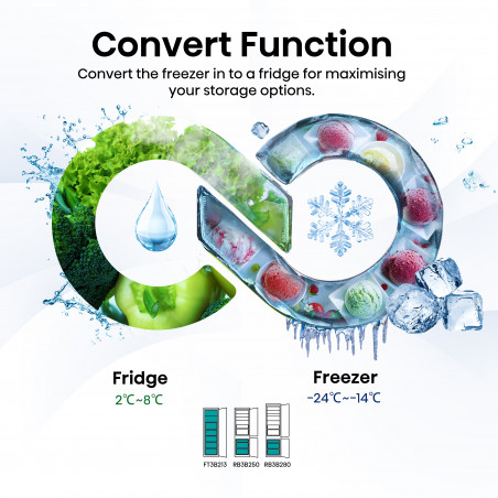 Réfrigérateur congélateur HISENSE RB3B250SAWE