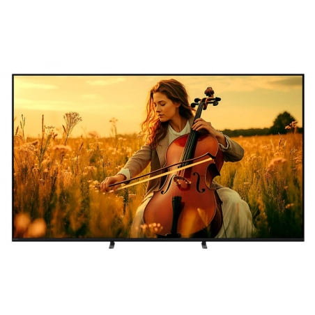 Télévision SONY K65XR59B