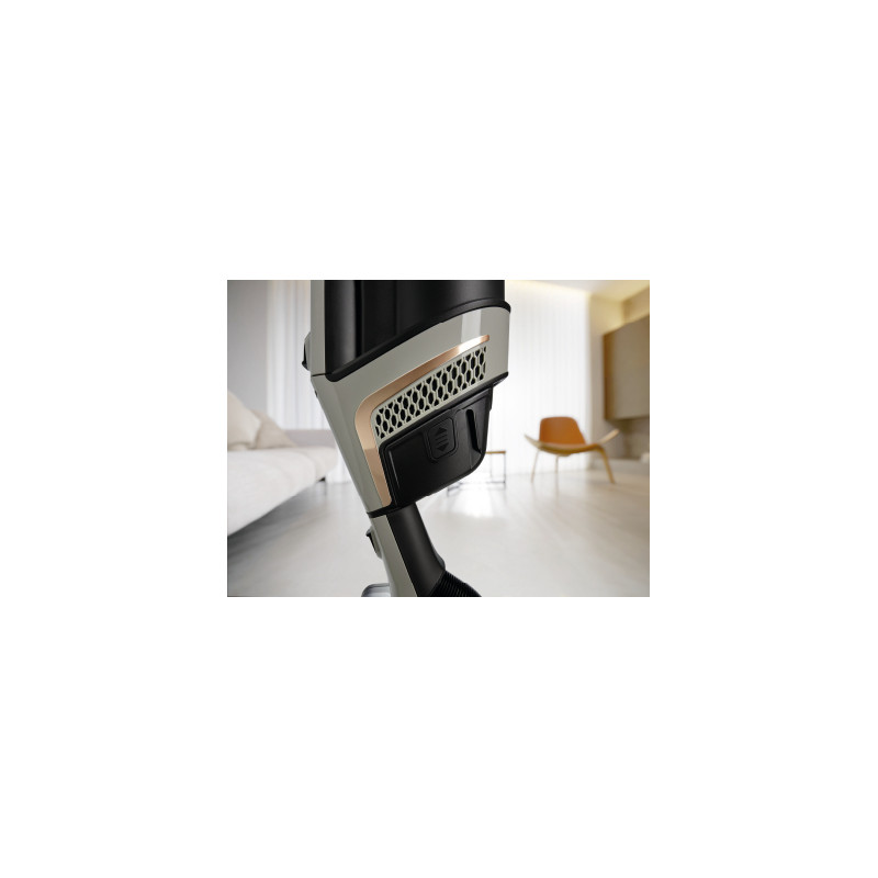 Aspirateur MIELE TRIFLEX HX2 SPRINTER