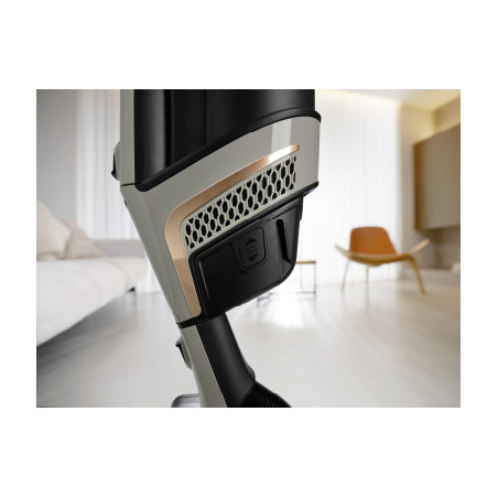 Aspirateur MIELE TRIFLEX HX2 SPRINTER