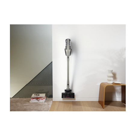 Aspirateur MIELE TRIFLEX HX2 SPRINTER