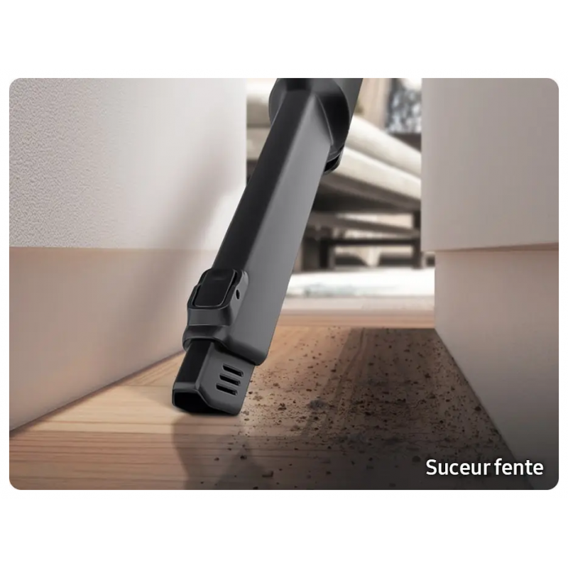 Aspirateur SAMSUNG VS20C85G2TN