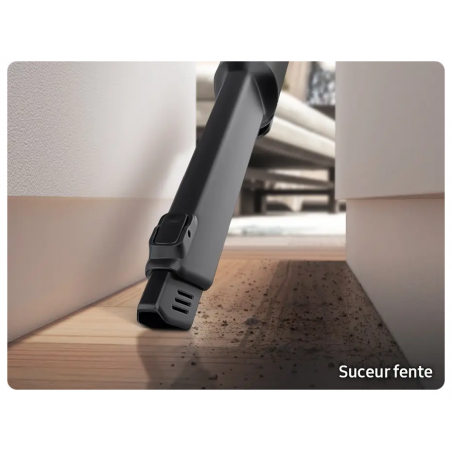 Aspirateur SAMSUNG VS20C85G2TN