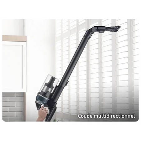 Aspirateur SAMSUNG VS20C85G2TN