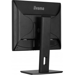 Moniteur PC IIYAMA B1980S-B1