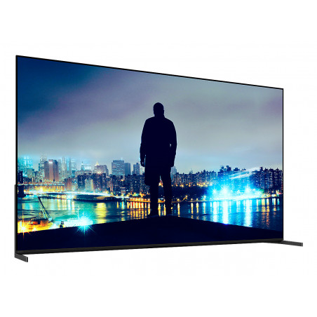 Télévision SONY K65XR8M25B