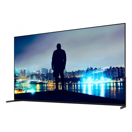 Télévision SONY K65XR8M25B