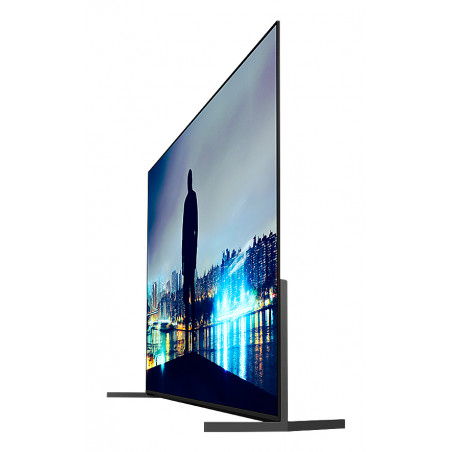 Télévision SONY K65XR8M25B