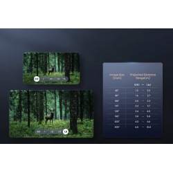 Vidéoprojecteur HISENSE C2 PRO