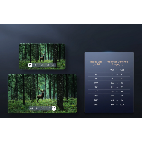 Vidéoprojecteur HISENSE C2 PRO