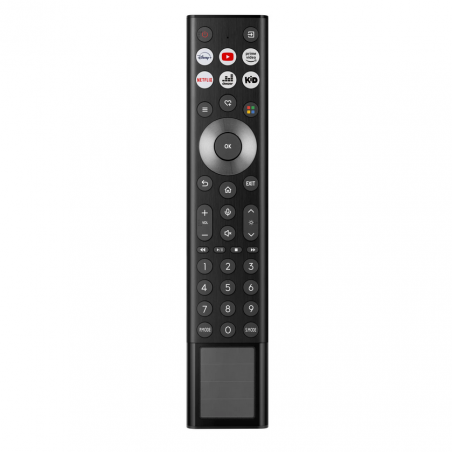 Vidéoprojecteur HISENSE PL2