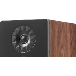 Enceintes colonnes ELIPSON PRESTIGE FACET II 14F NOYER