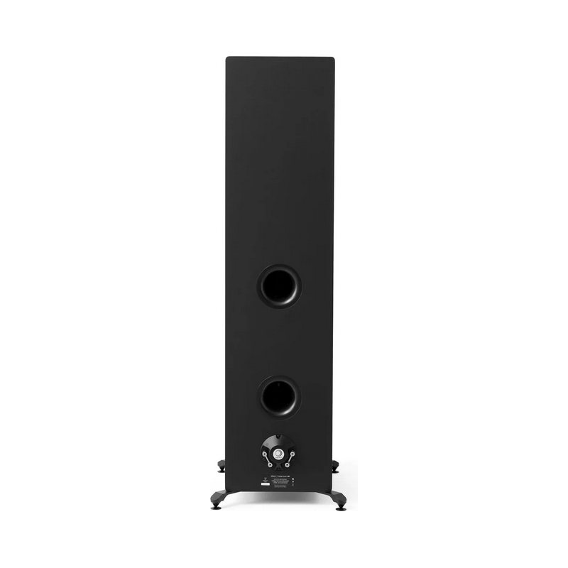 Enceintes colonnes ELIPSON PRESTIGE FACET II 34F NOIR MAT