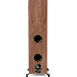 Enceintes colonnes ELIPSON PRESTIGE FACET II 34F NOYER