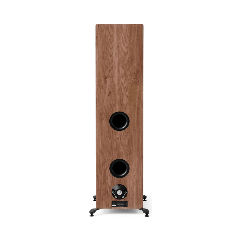 Enceintes colonnes ELIPSON PRESTIGE FACET II 34F NOYER