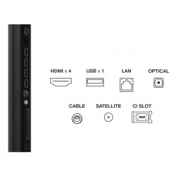 Télévision TCL 65C7K