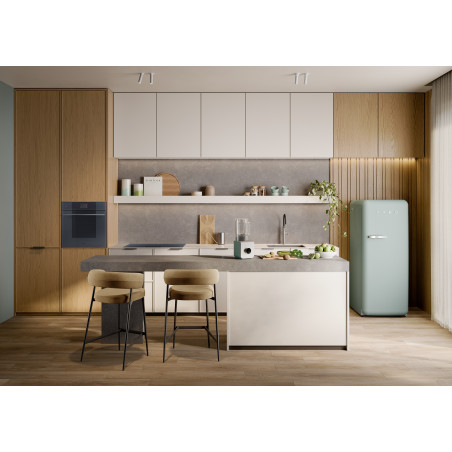 Réfrigérateur Une Porte SMEG FAB28RDSA6