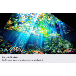 Télévision SAMSUNG MRE115MR95FXXC