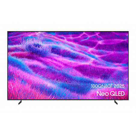Télévision SAMSUNG TQ100QN80F