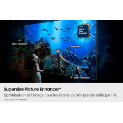 Télévision SAMSUNG TQ100QN80F