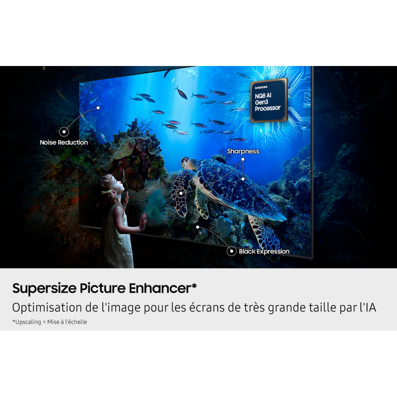 Télévision SAMSUNG TQ100QN80F