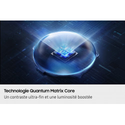 Télévision SAMSUNG TQ100QN80F