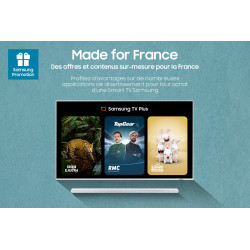 Télévision SAMSUNG MRE115MR95FXXC