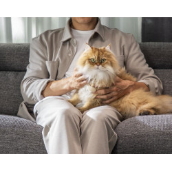 Aspirateur ROWENTA GZ5035WO