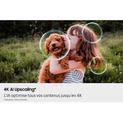 Télévision SAMSUNG TQ85QN80FAUXXC