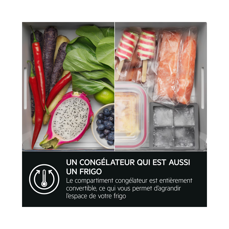 Réfrigérateur congélateur AEG TSC9V181BS