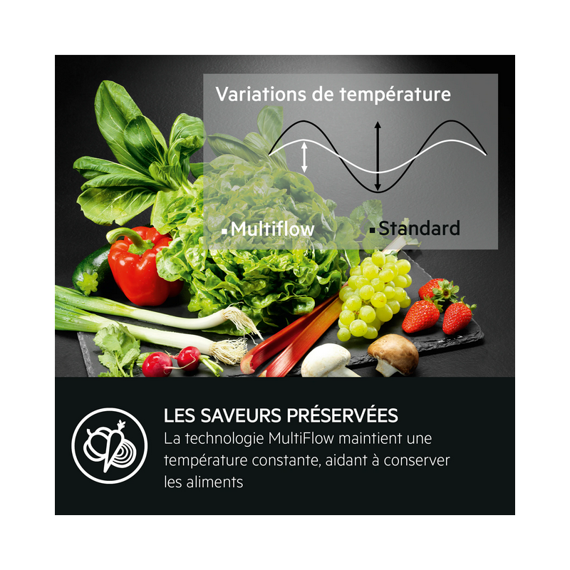 Réfrigérateur congélateur AEG NSC6M18FES