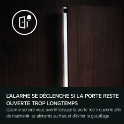 Réfrigérateur congélateur AEG NSC6M18FES