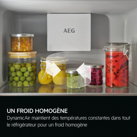 Réfrigérateur Une Porte AEG TK6DS181DC