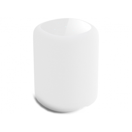 Enceintes Connectées WIIM SOUND BLANC