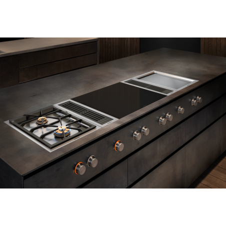 Plaque de cuisson GAGGENAU VI462105