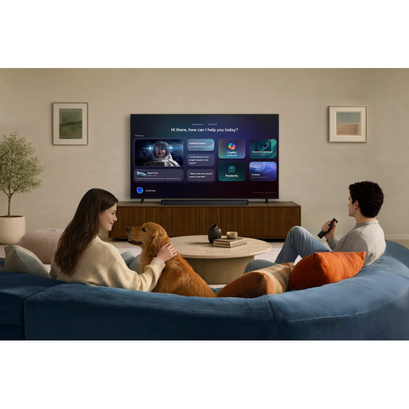 Télévision SAMSUNG TQ50QN80H