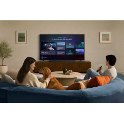 Télévision SAMSUNG TQ55QN80H