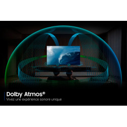 Télévision SAMSUNG TQ65QN80H