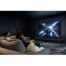 Télévision SAMSUNG TQ65S95H