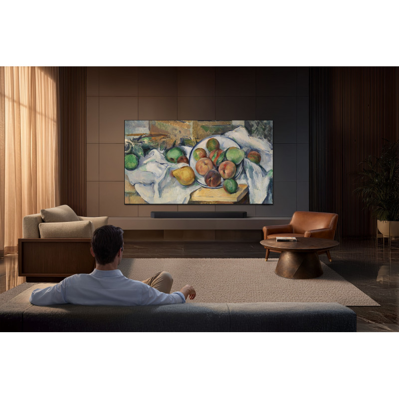 Télévision SAMSUNG TMR85R95H