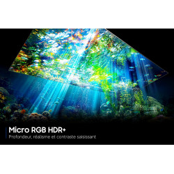 Télévision SAMSUNG TMR75R85H