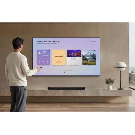 Télévision SAMSUNG TMR85R85H