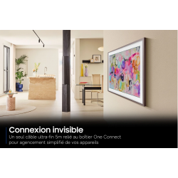 Télévision SAMSUNG TQ55LS03H