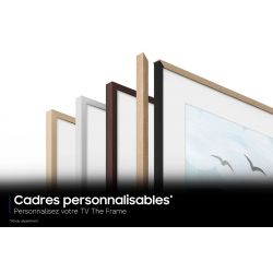 Télévision SAMSUNG TQ55LS03H
