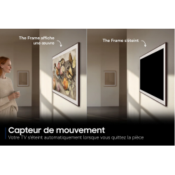 Télévision SAMSUNG TQ65LS03H