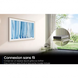 Télévision SAMSUNG TQ65LS03HW