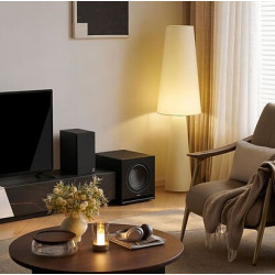 Caisson de basses ELIPSON PREMIUM SUB 10