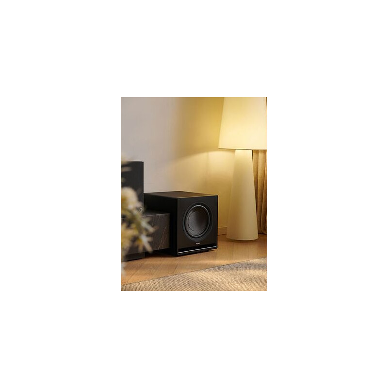 Caisson de basses ELIPSON PREMIUM SUB 10